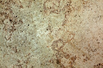Fototapeta premium Showing rough beige and brown mottled stone surface in flat design, highlighting pits and speckles