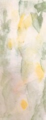 木々の光１