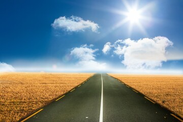 Sunny brown landscape with street