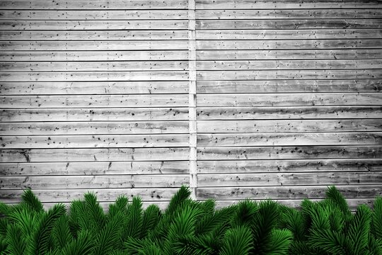 Fototapeta Fir branches on wooden planks
