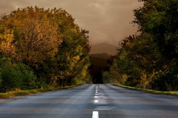 Vitrage gordijnen Flat design showing two-lane road leading to misty mountain below clouds flanked by autumn trees © vectorfusionart