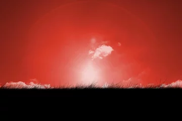 Vitrage gordijnen Digitally generated Red sky over grass © vectorfusionart