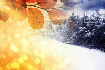 Autumn changing to winter