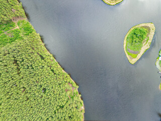 Aerial view of lake or river green shore with forest. Summer season.