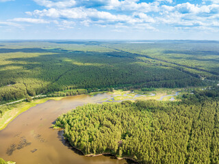 Aerial view of lake or river green shore with forest. Summer season.