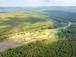 Aerial view of lake or river green shore with forest. Summer season.