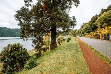 Pathway Along Furnas Lake with Trees, Sao Miguel, Azores