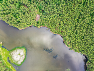 Aerial view of lake or river green shore with forest. Summer season.