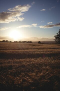 Fototapeta Scenic view field against cloudy sky