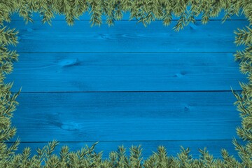 Plants forming frame against wooden table