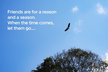 Inspirational life quote on blurry background. Friends are for a reason and season.  When the time...