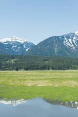 Scenic view of field and mountains