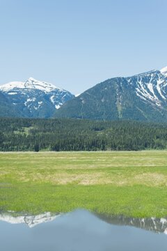 Fototapeta Scenic view of field and mountains