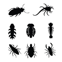 Insect Silhouette Collection – Vector Set of Bugs and Parasites
