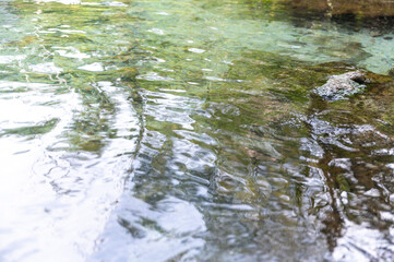 Clear natural spring water with gentle ripples reflecting trees and sky above. The peaceful surface and subtle motion create a calming, tranquil nature scene perfect for wellness and relaxation themes