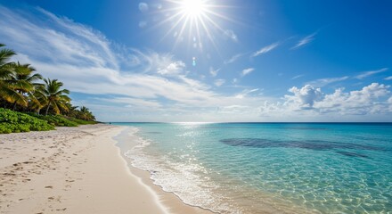 tropical beach with palm trees
