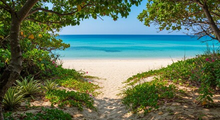 tropical beach with palm trees