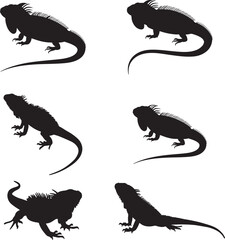 Collection of black iguana silhouettes in Various poses isolated on white background