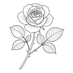 Black and white vector line art of a blooming rose with detailed leaves, isolated on a white background, perfect for coloring books.