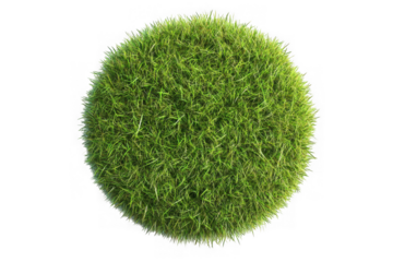 Green grass ball texture element, round lawn patch, turf clump, decorative grass, nature, isolated on transparent background