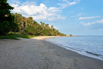 Serene beach with palm trees and gentle waves under a clear sky in a tropical paradise
