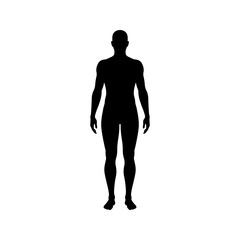 Male human body silhouette vector flat illustration design.