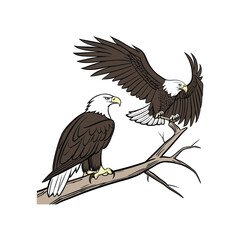 eagle in the sky