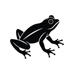 frog on a white background