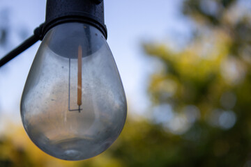 Vintage Filament Bulb with Soft Bokeh