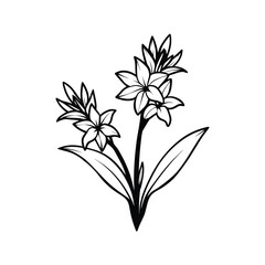 vector illustration of a flower