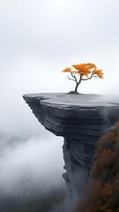 Solitary Orange Tree on Mountain Cliff Surrounded by Misty Clouds