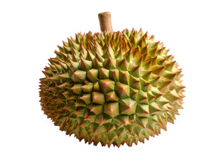 durian isolated on white background