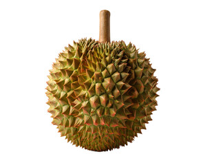 durian isolated on white background