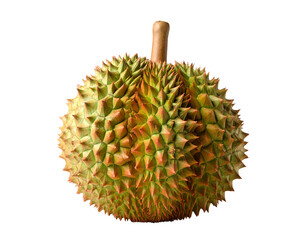 durian isolated on white background