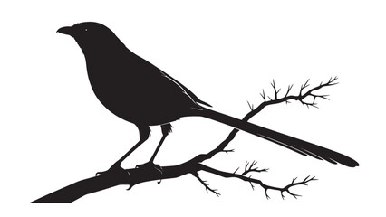 A detailed black silhouette of a magpie bird perched on a bare branch against a white background