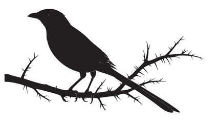 A detailed black silhouette of a small bird perched on a thorny branch against a white background