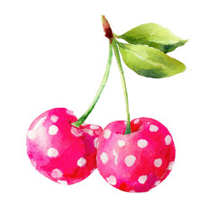 Watercolor Illustration of Cherries with Polka Dots isolated on transparent white background, clipping path