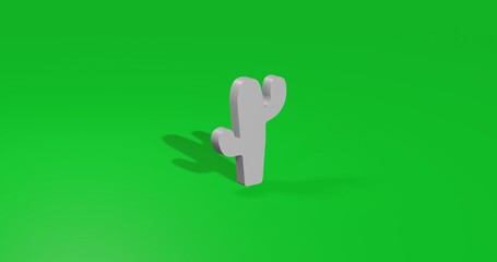 Isolated realistic white cactus symbol front view with shadow. 3d illustration on green chroma key background