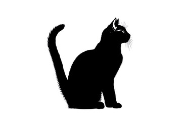 Black Cat Silhouette Sitting Pose With Tail Curved