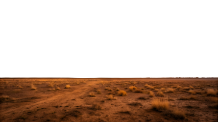 Desert landscape dirt road sparse vegetation dark sky