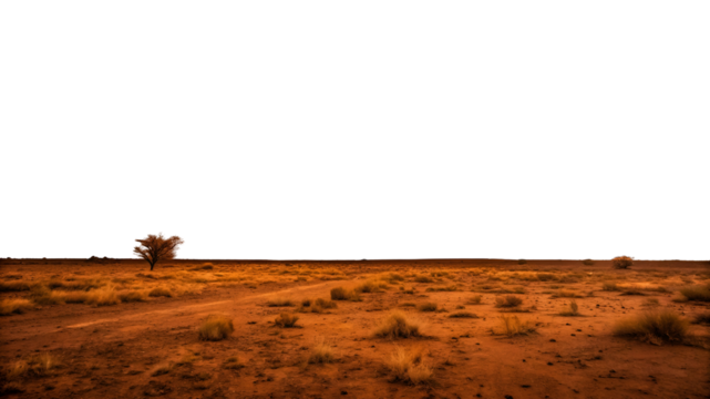 Lone Tree in a Red Desert Under a Dark Sky