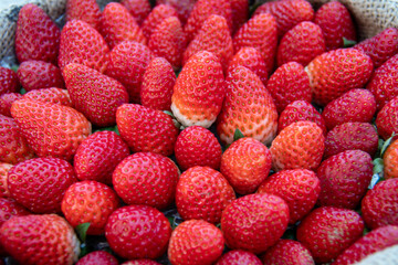 Detail of a harvesting basket full of strawberries. Fresh red fruits on rustic wicker, ready to...