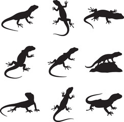 Collection of nine black lizard silhouettes in various poses and on a rock silhouette