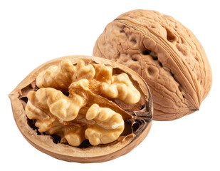  Realistic Walnut in Shell and Open Half, isolated on a transparent background”