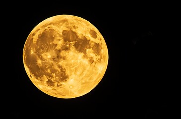 A full yellow moon with bats flying around it against a black background