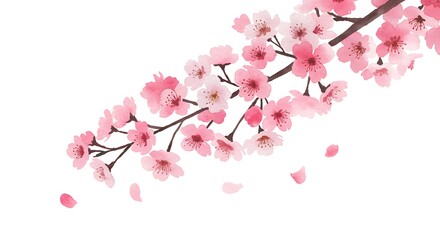 Delicate cherry blossoms gracefully falling.