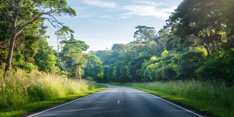 Remote Road Through a Vibrant and Lush Green Forest
