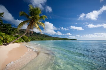 Idyllic Tropical Beach with Leaning Palm Tree and Turquoise Water 