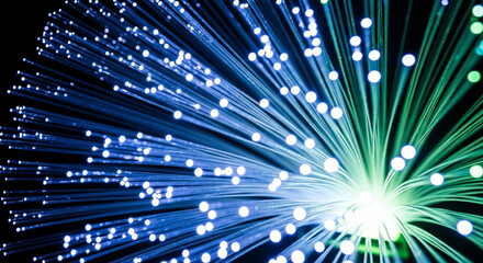 Illuminating the Future A Close-Up of Fiber Optic Cables