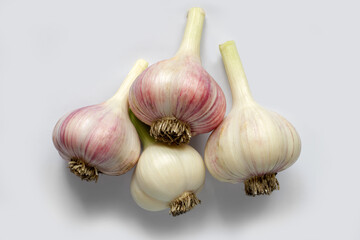 Natural garlic on a gray background. Close-up of garlic heads.
